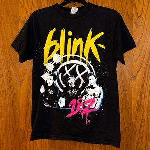 Blink 182 Summer 2009 tour